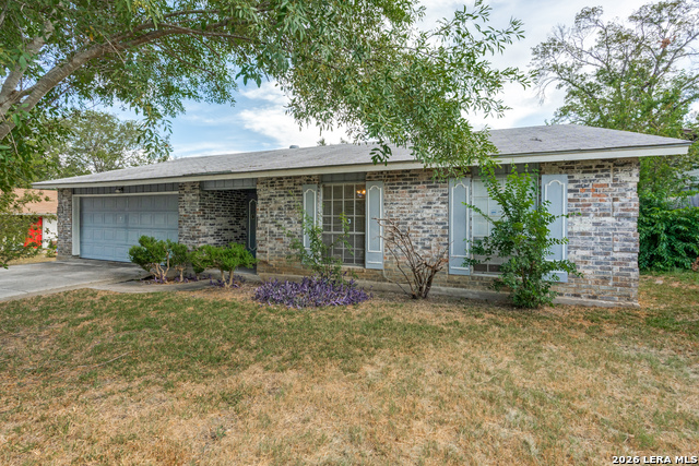 Alamo Blanco St, San Antonio, TX 78233 #1