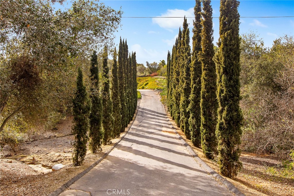 Fallbrook, California, 92028, United States, 4 Bedrooms Bedrooms, ,4 BathroomsBathrooms,Residential,For Sale,1792219