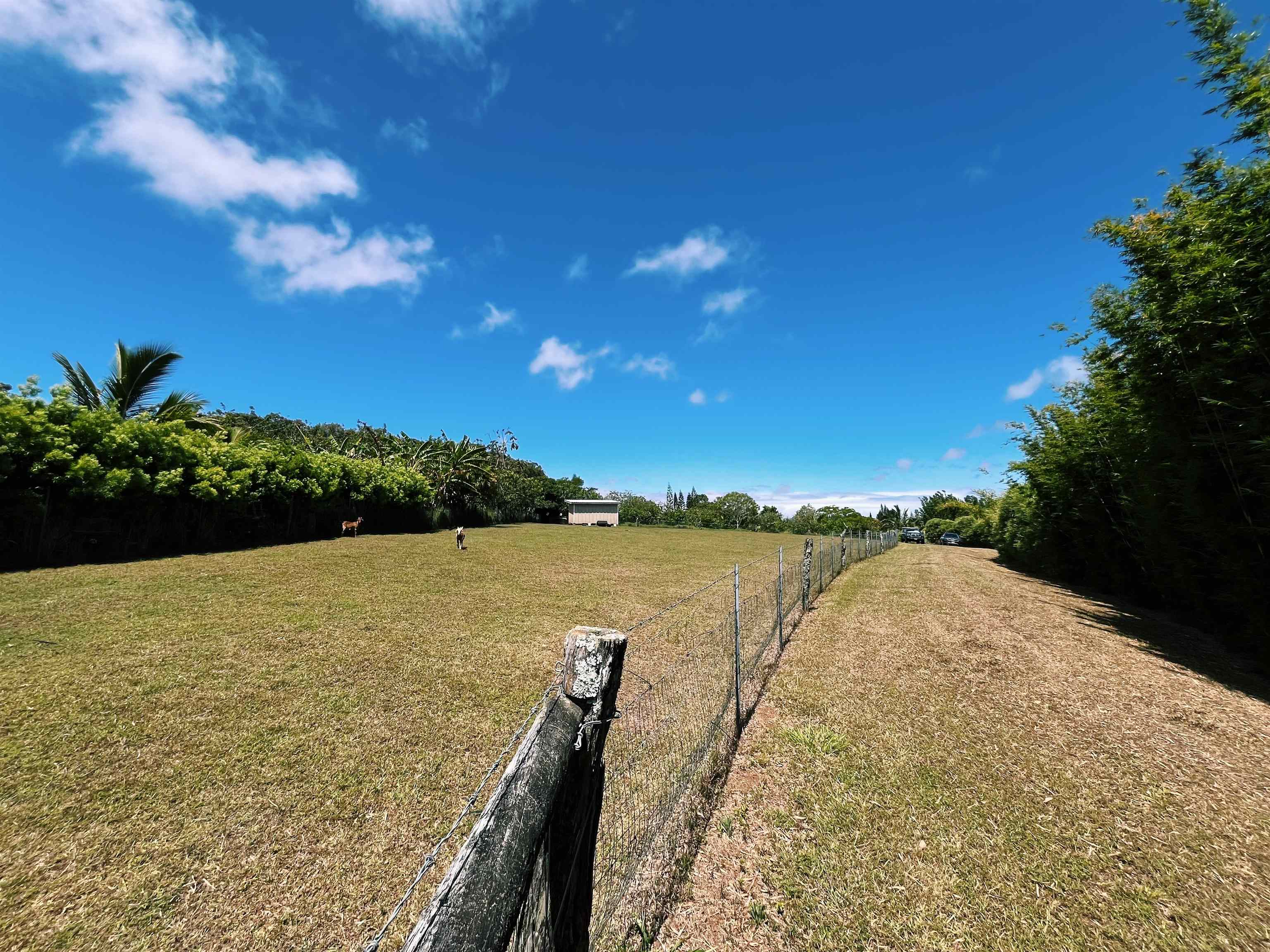 Haiku, Hawaii, 96708, United States, ,Land,For Sale,1918807
