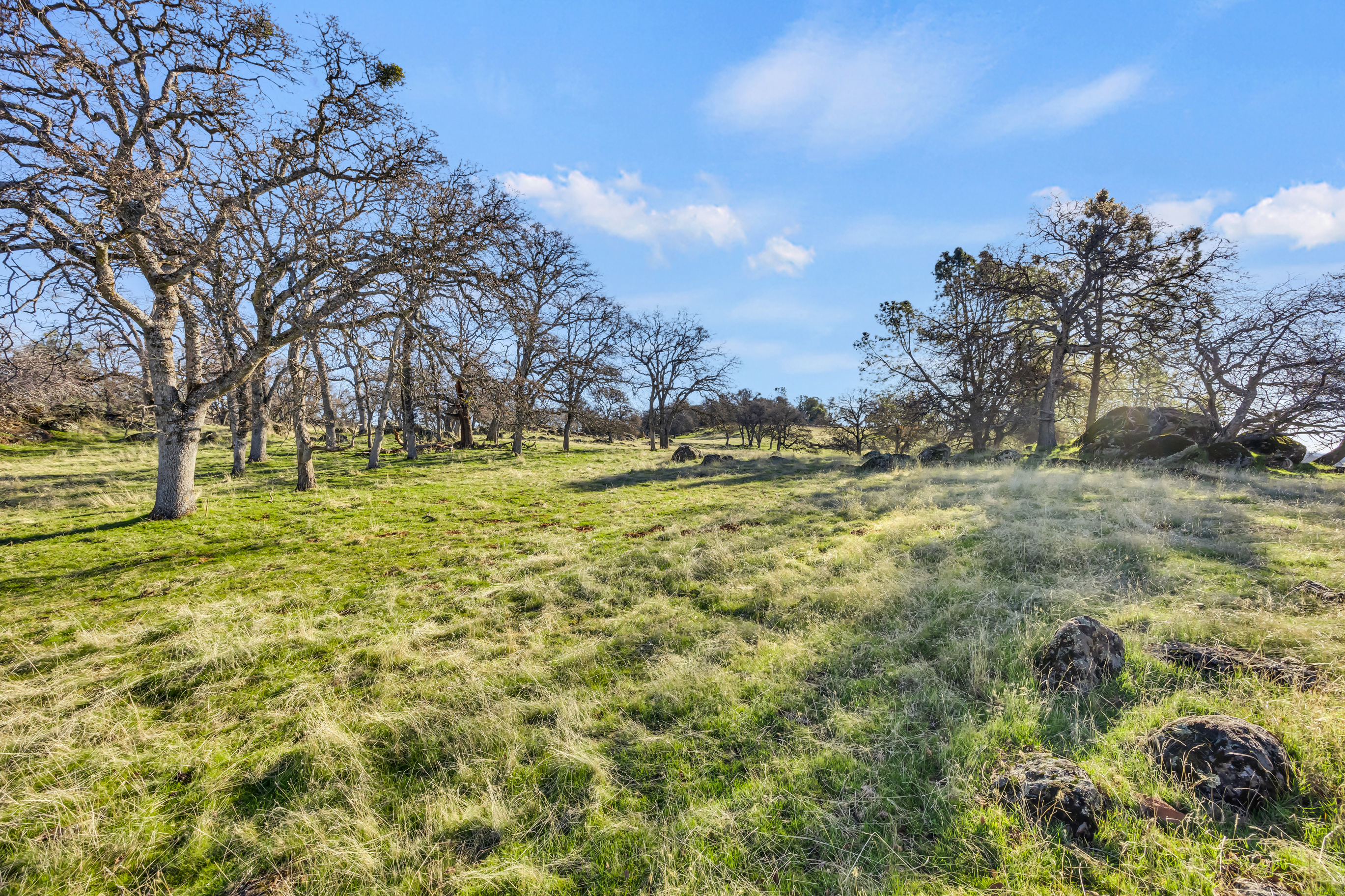  23443 Corino Way, Grass Valley, CA 95949 - 物件實景