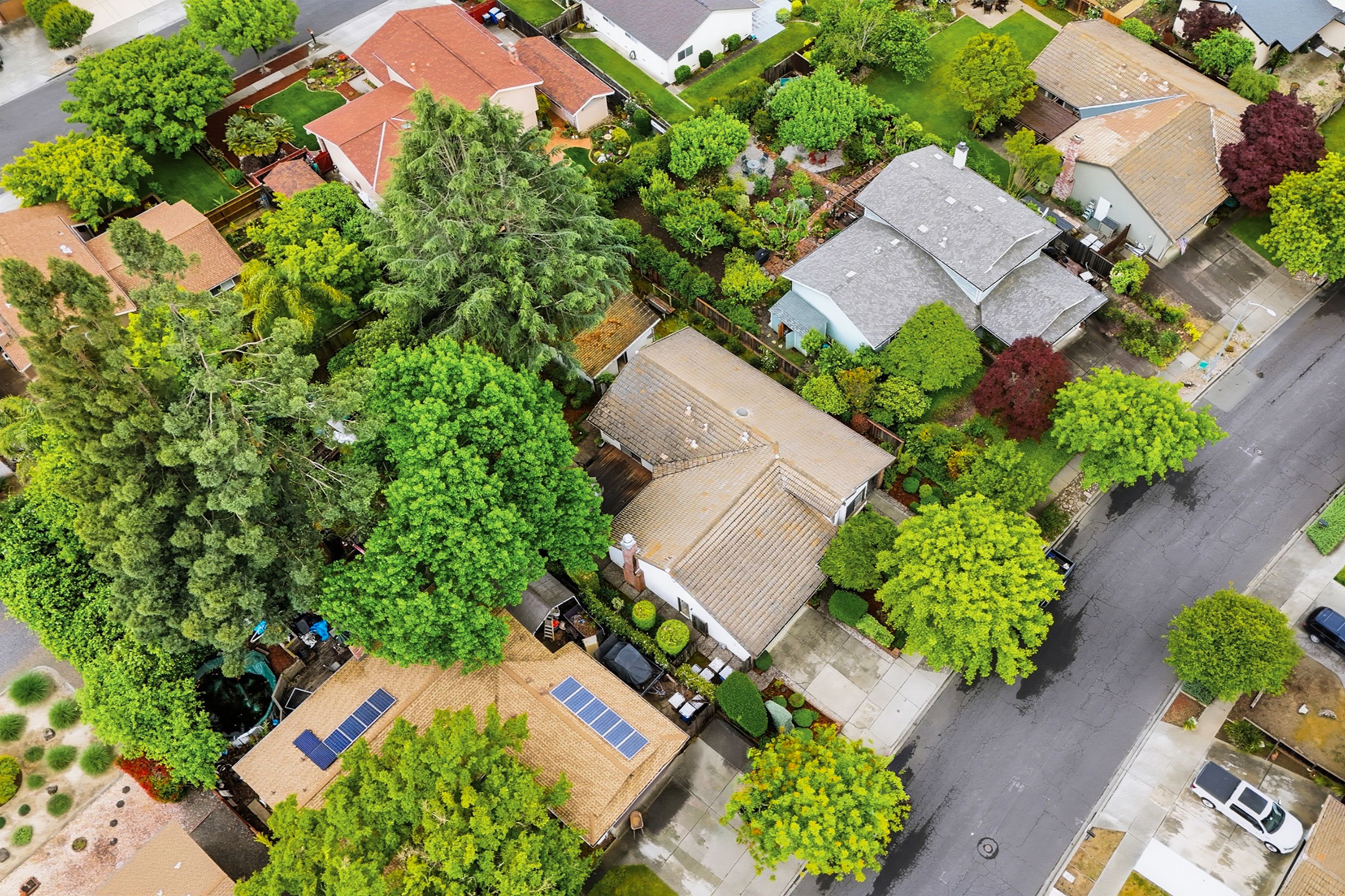  Charm and Opportunity in Browns Valley - 物件實景