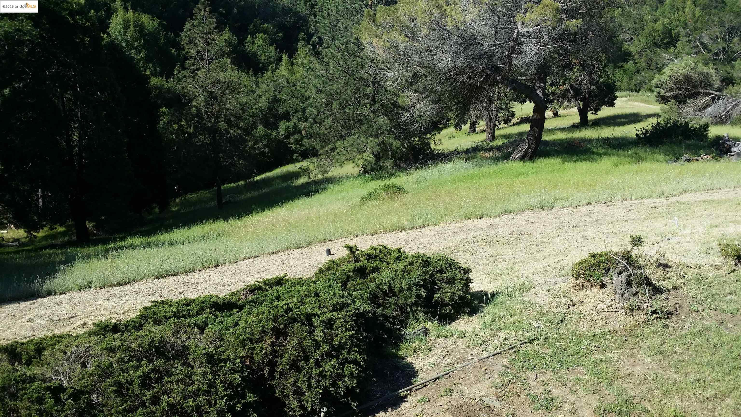 Oakland, California, 94605, United States, ,Land,For Sale,1906465