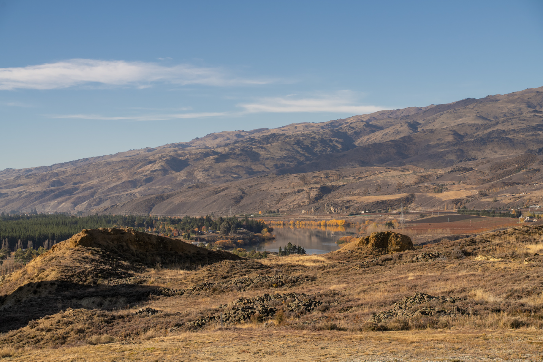  A Rare Bannockburn Landholding - 物件實景
