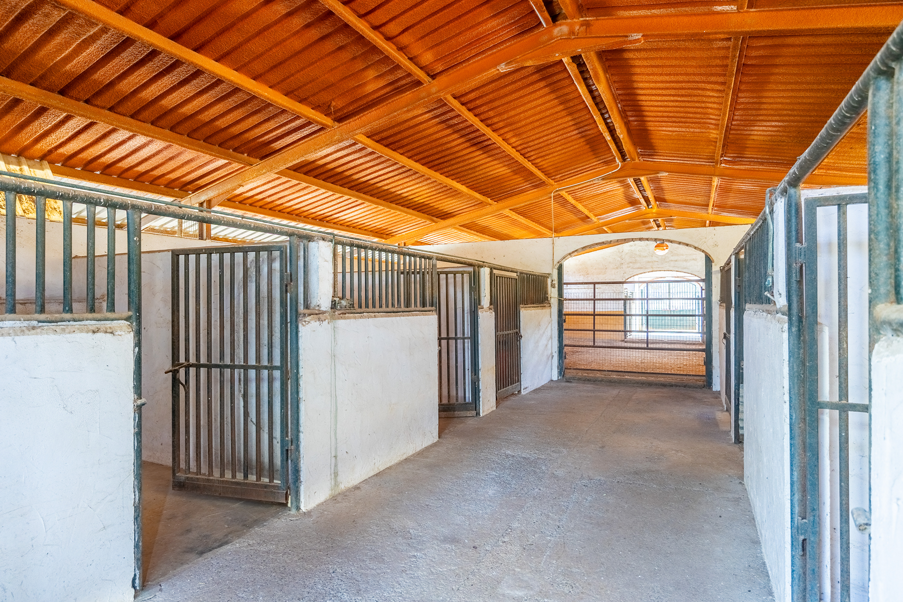  Recreational and hunting estate in the Sierra de Córdoba - 物件實景