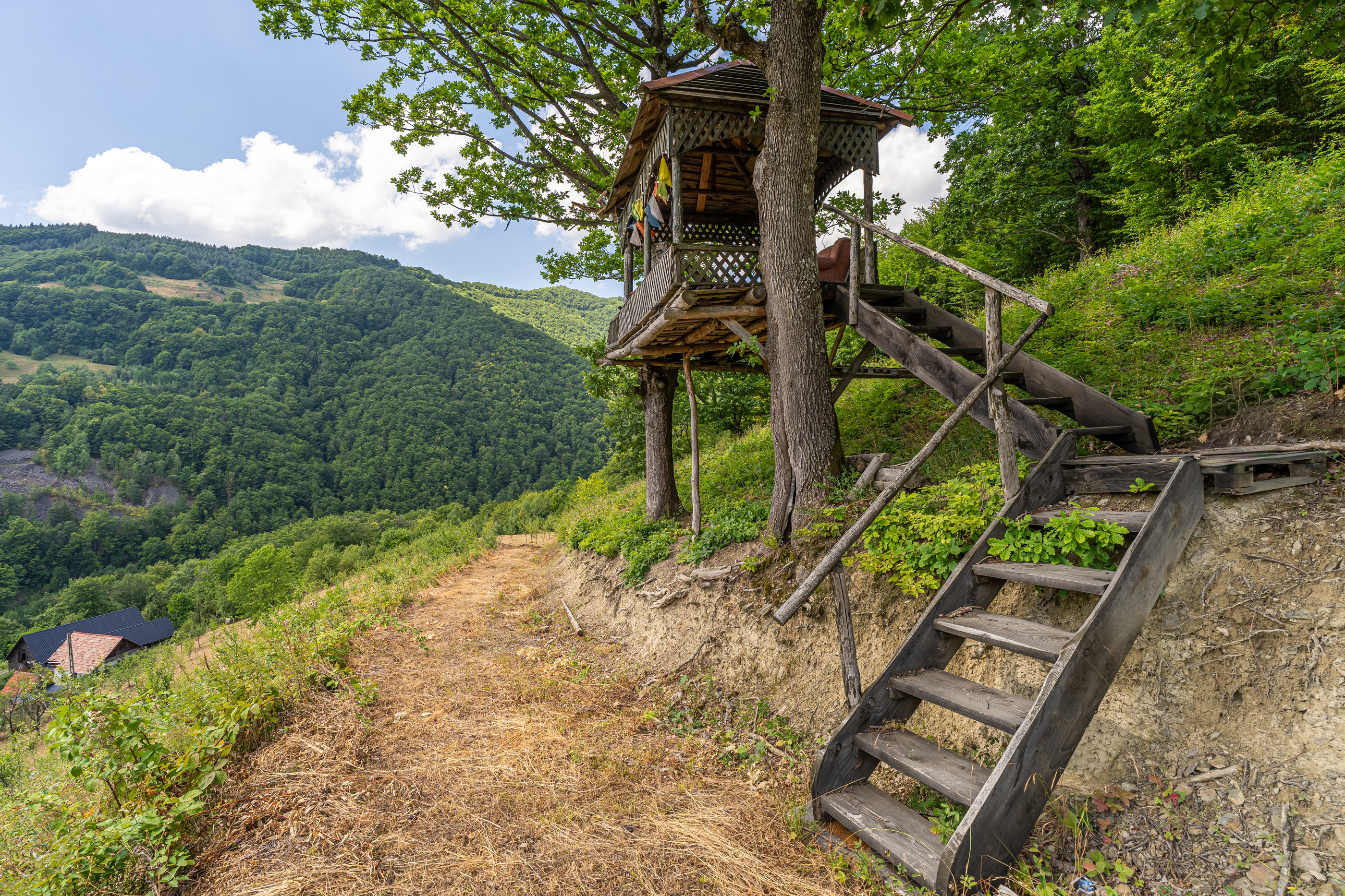  Versatile 22-Hectare Private Estate - Forested Heart of the Apuseni Mountains - 物件實景