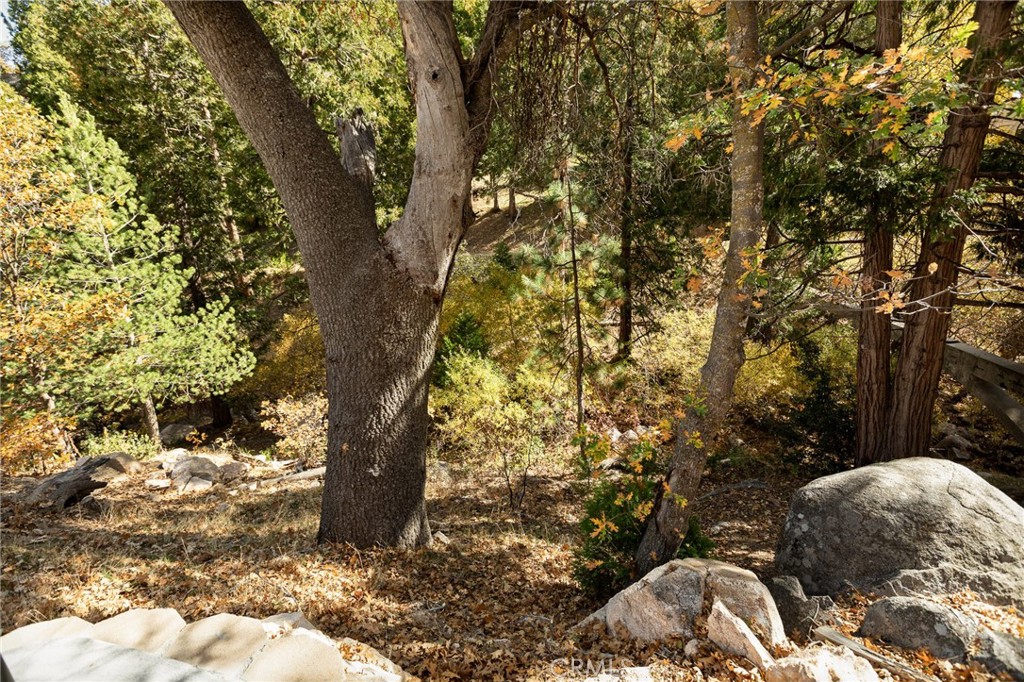 Lake Arrowhead, California, 92352, United States, 4 Bedrooms Bedrooms, ,5 BathroomsBathrooms,Residential,For Sale,1989465