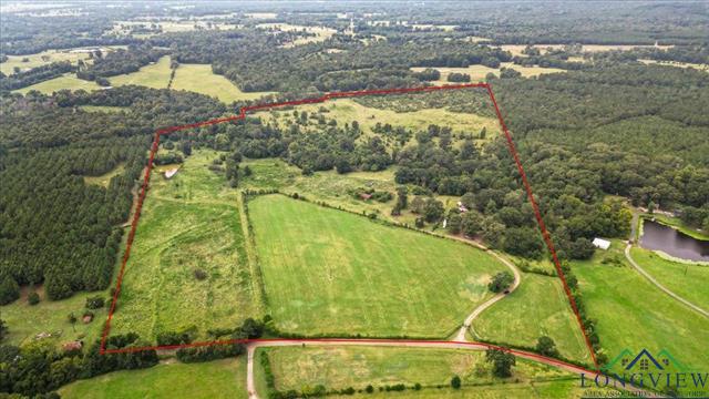 Henderson, Texas, 75654, United States, ,Land,For Sale,1951348