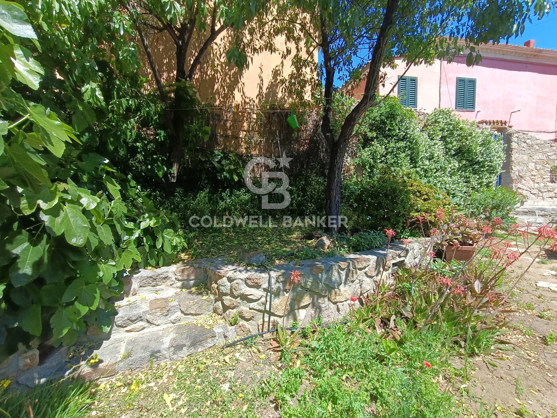 Via Thaon de Revel, Isola del Giglio, Grosseto, 58012, IT, 2 Bedrooms Bedrooms, ,2 BathroomsBathrooms,Residential,For Sale,Via Thaon de Revel,1673234