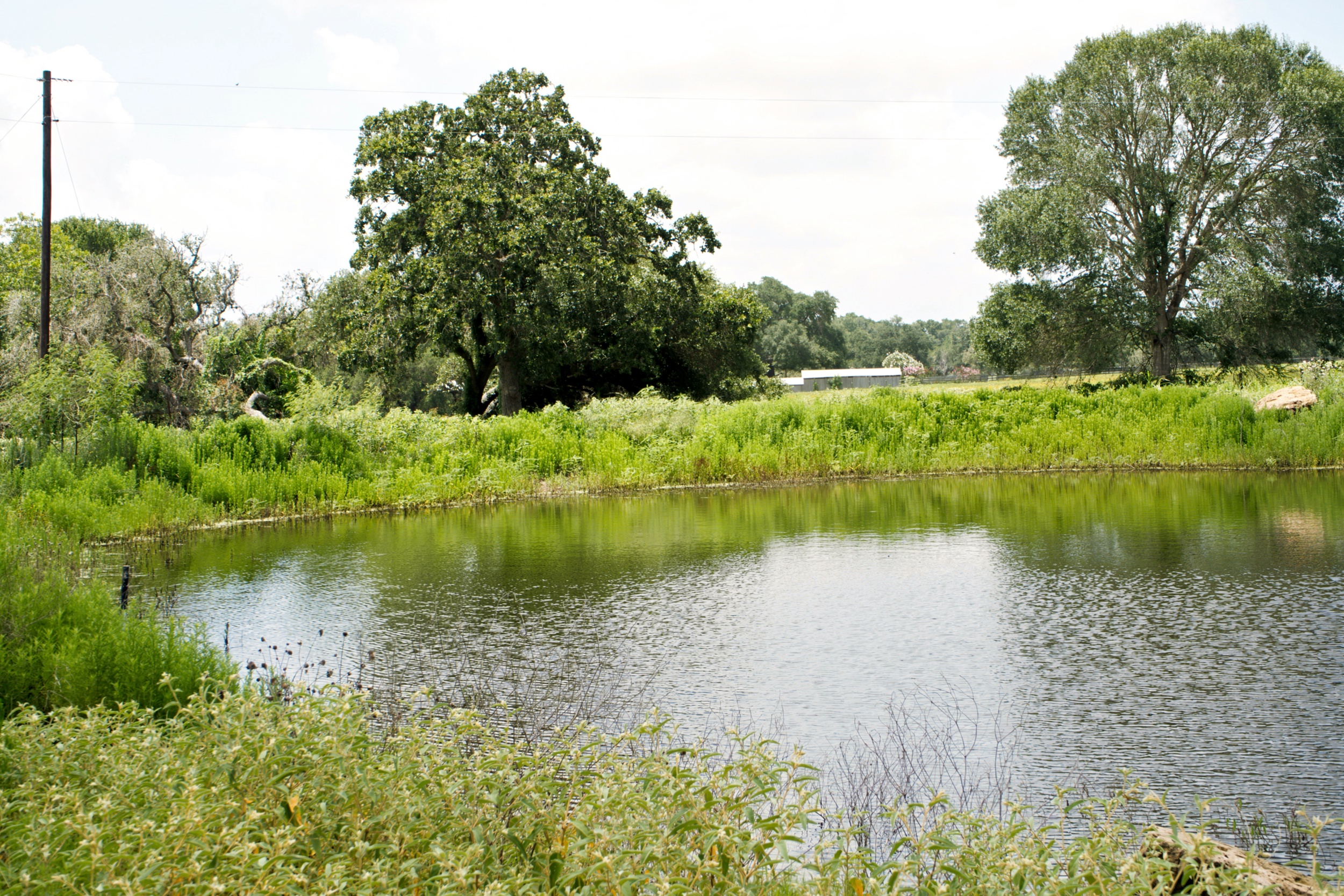  76.77 Acres, Colorado County, Weimer, TX 78962 - 物件實景