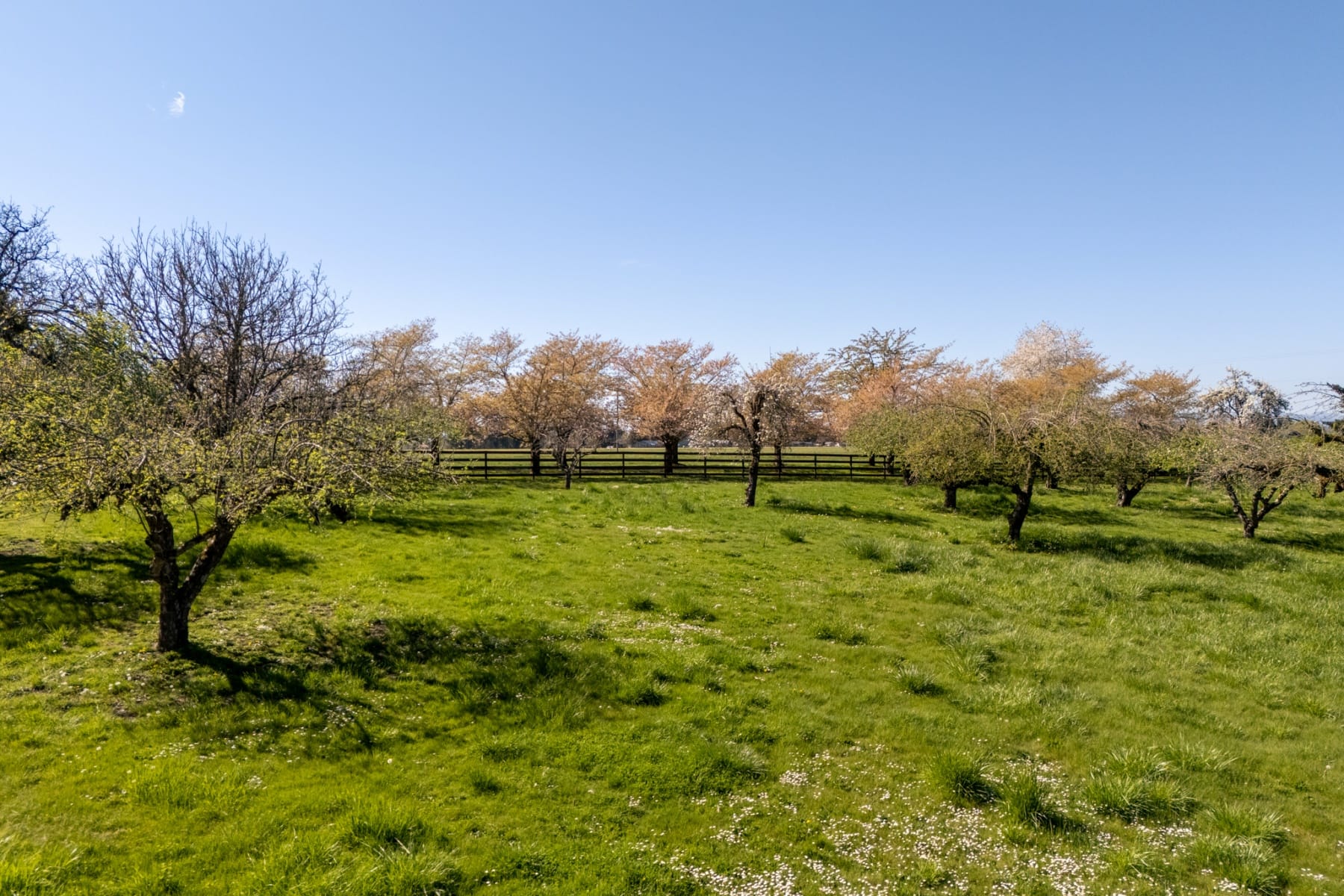  21200 SE OLD BETHEL RD Amity, OR 97101 - 物件實景