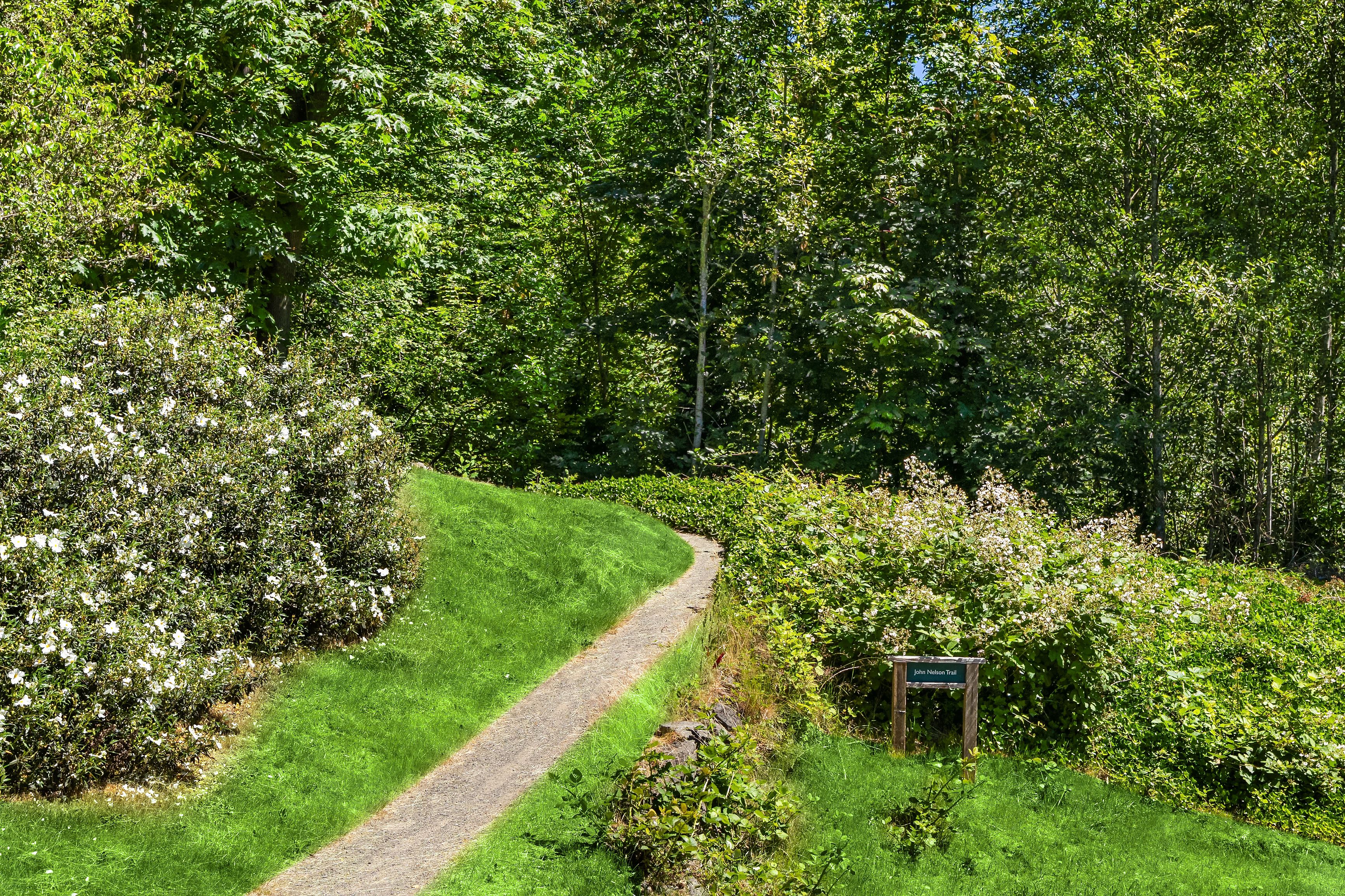  620 Northeast Vineyard Lane B-203, Bainbridge Island, WA 98110 - 物件實景