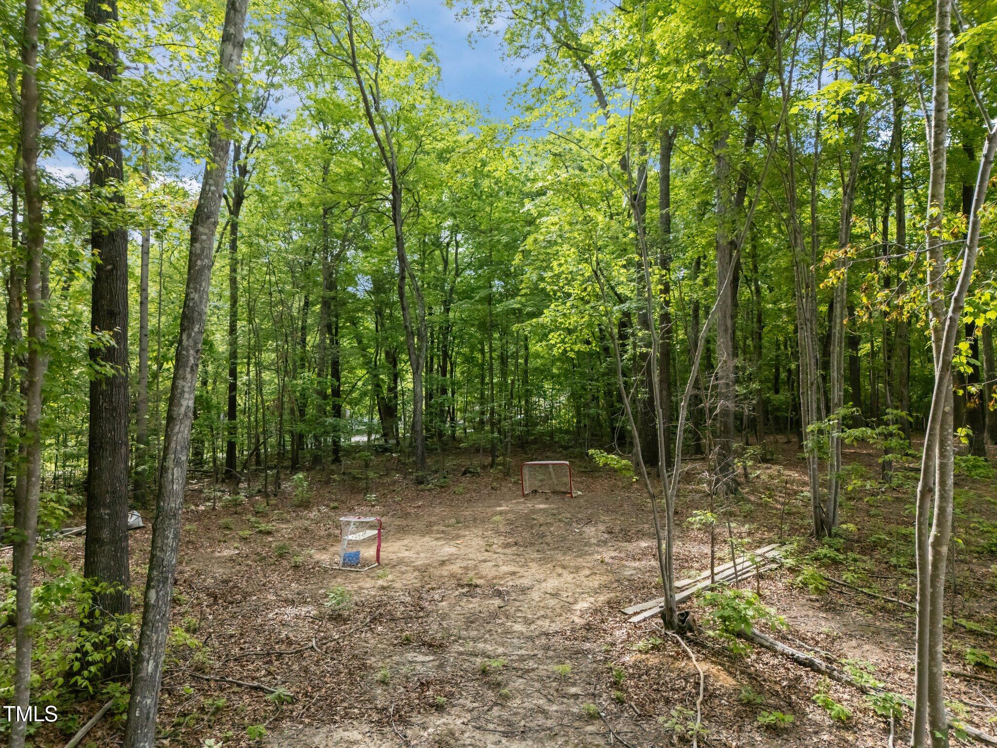 Rougemont, North Carolina, 27572, United States, 3 Bedrooms Bedrooms, ,2 BathroomsBathrooms,Residential,For Sale,1856680