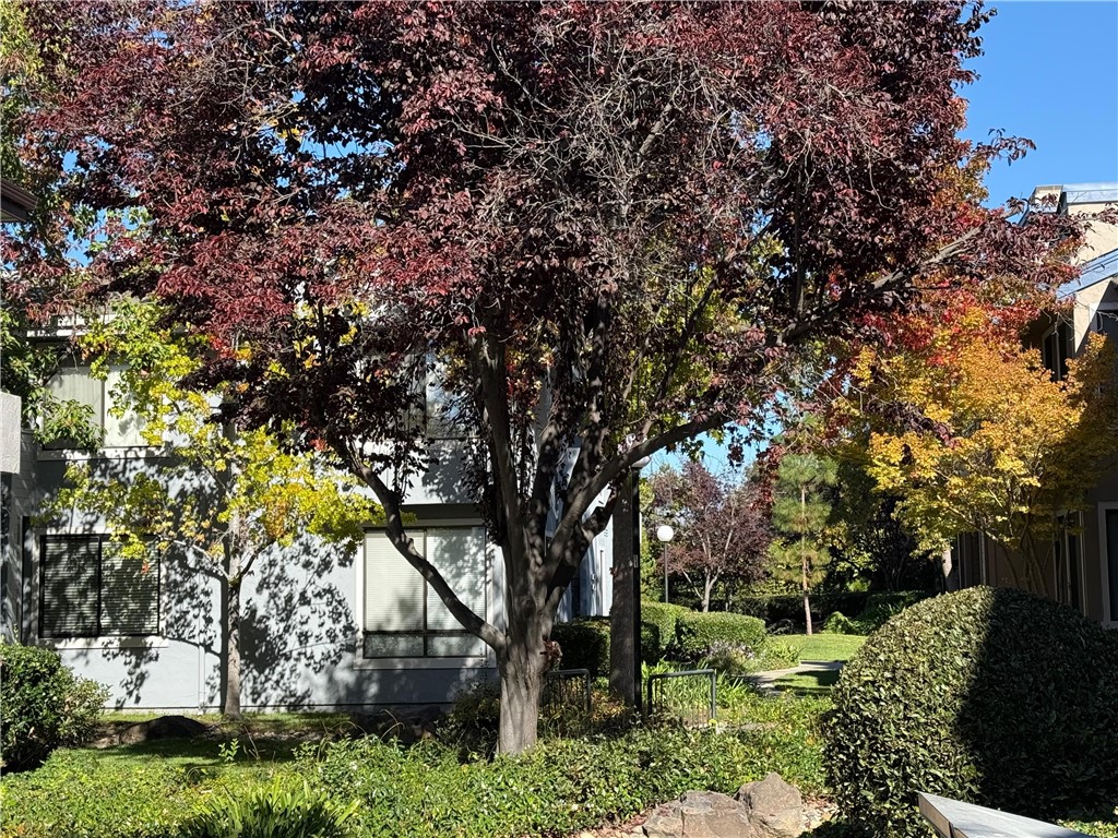 Newark, California, 94560, United States, 2 Bedrooms Bedrooms, ,2 BathroomsBathrooms,Residential,For Sale,1984620