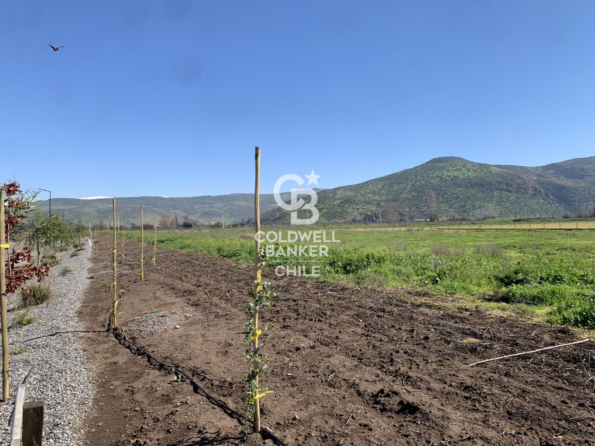 Colina, Chile, ,Land,For Sale,1940115
