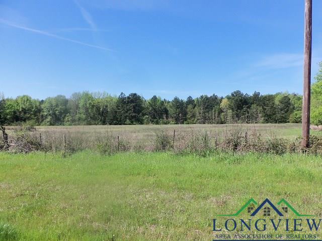 TBD U.S. HWY. 259 N., Kilgore, Texas, 75662, United States, ,Land,For Sale,TBD U.S. HWY. 259 N.,1542568