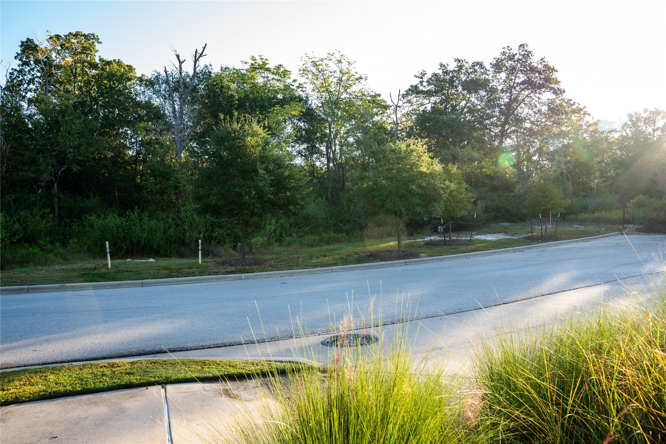Bryan, Texas, 77807, United States, ,Land,For Sale,1986491
