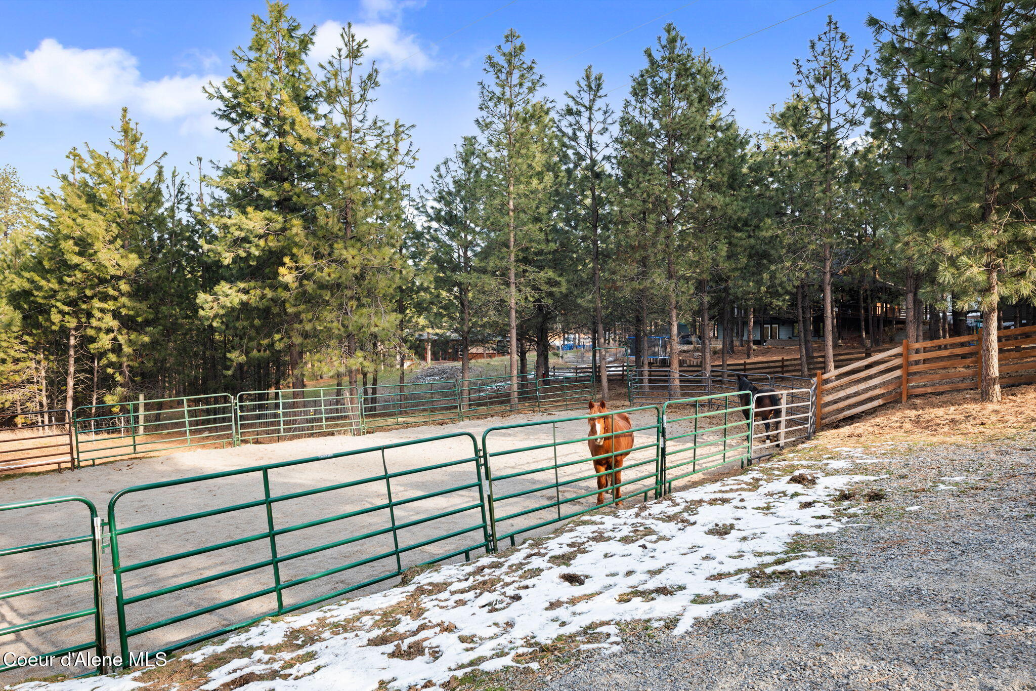 Post Falls, Idaho, 83854, United States, 3 Bedrooms Bedrooms, ,3 BathroomsBathrooms,Residential,For Sale,2048813