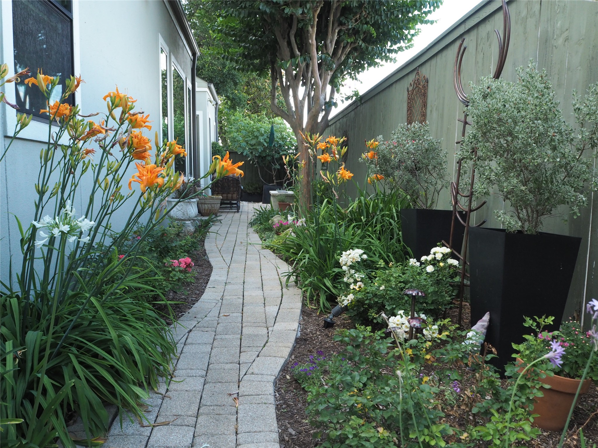  24 Hackberry Lane B - 物件實景