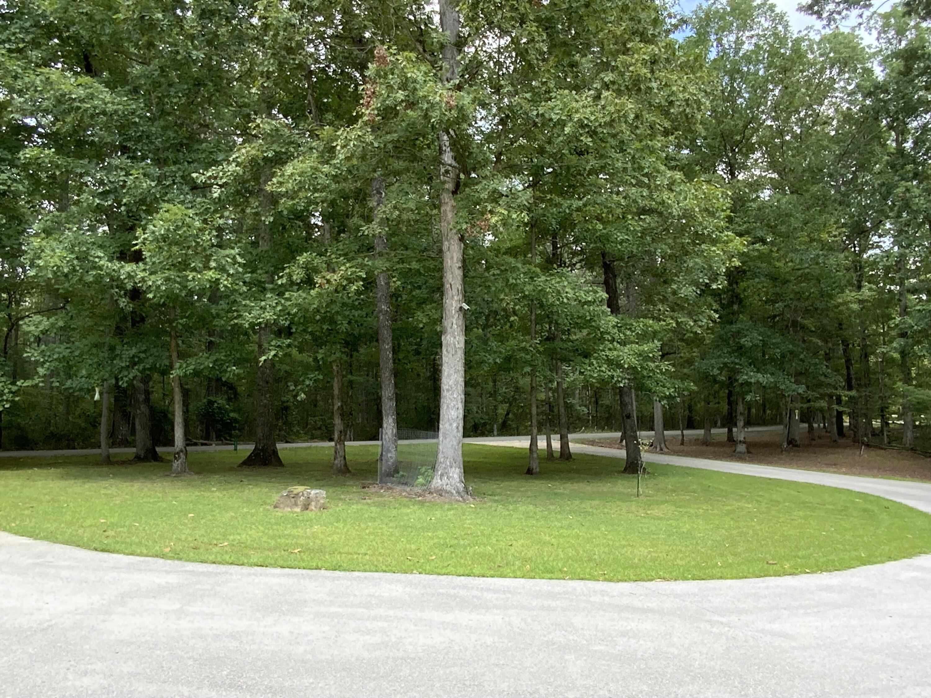 Tracy City, Tennessee, 37387, United States, 3 Bedrooms Bedrooms, ,Residential,For Sale,1979741