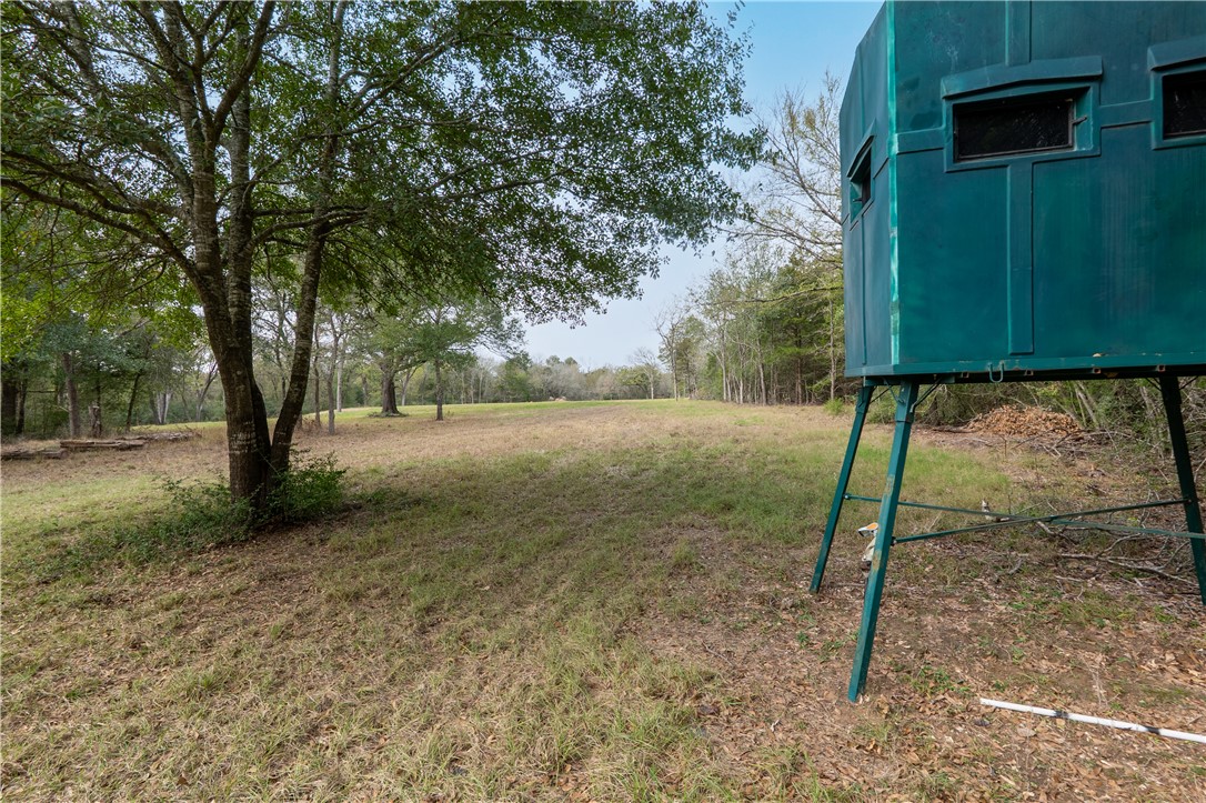 Thornton, Texas, 76687, United States, ,Land,For Sale,2003074