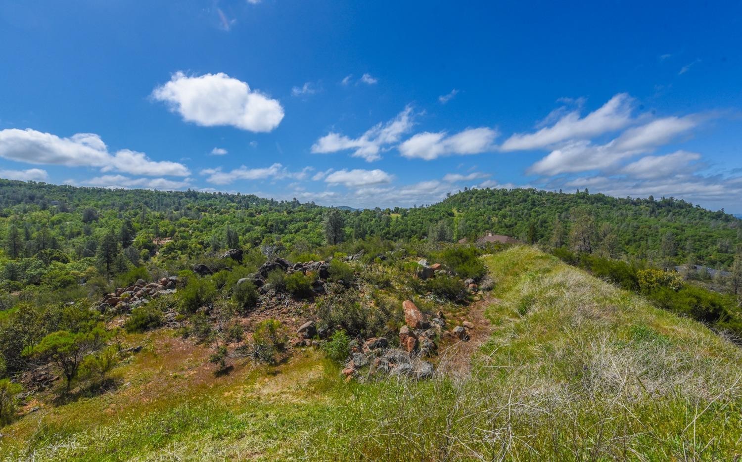 15880 Parkridge Avenue, Sonora, California, 95370, United States, ,Land,For Sale,15880 Parkridge Avenue,1432532