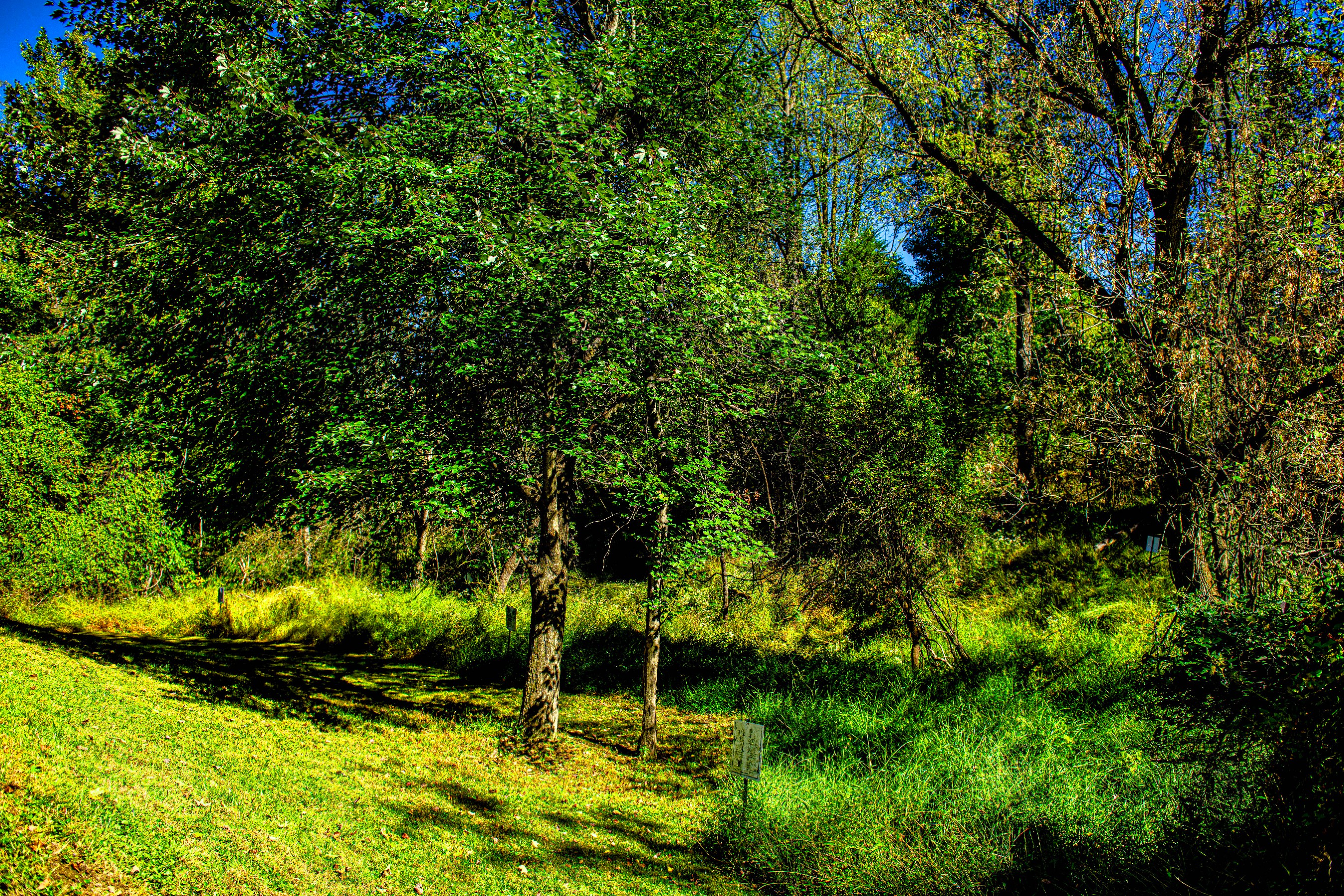  Woods of Tiber Branch II - 物件實景