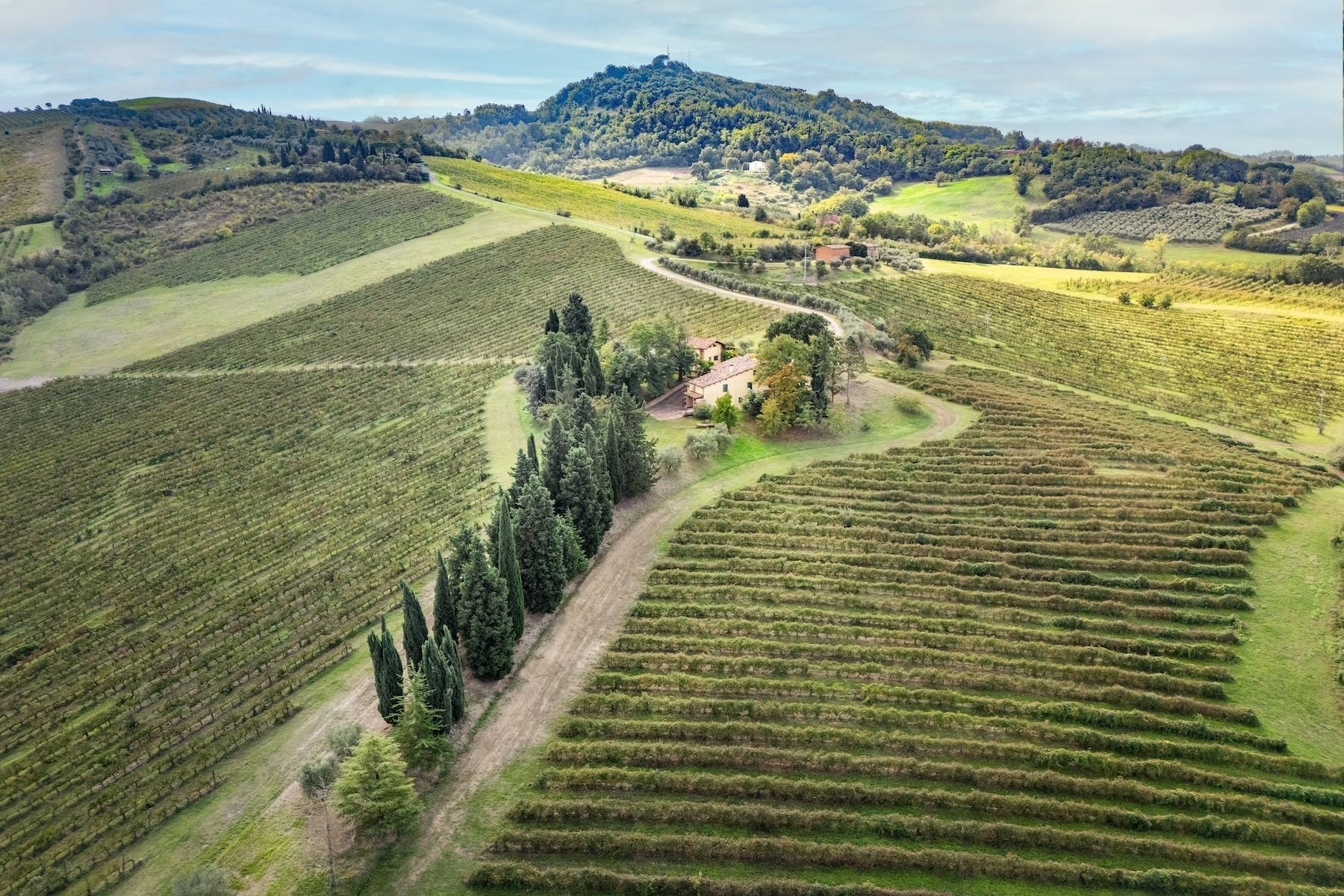  Enchanting agricultural and wine estate on the hills of Romagna - 物件實景