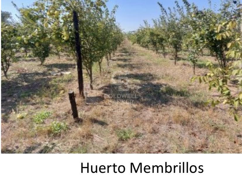 San Carlos, Chile, ,Residential,For Sale,1708027