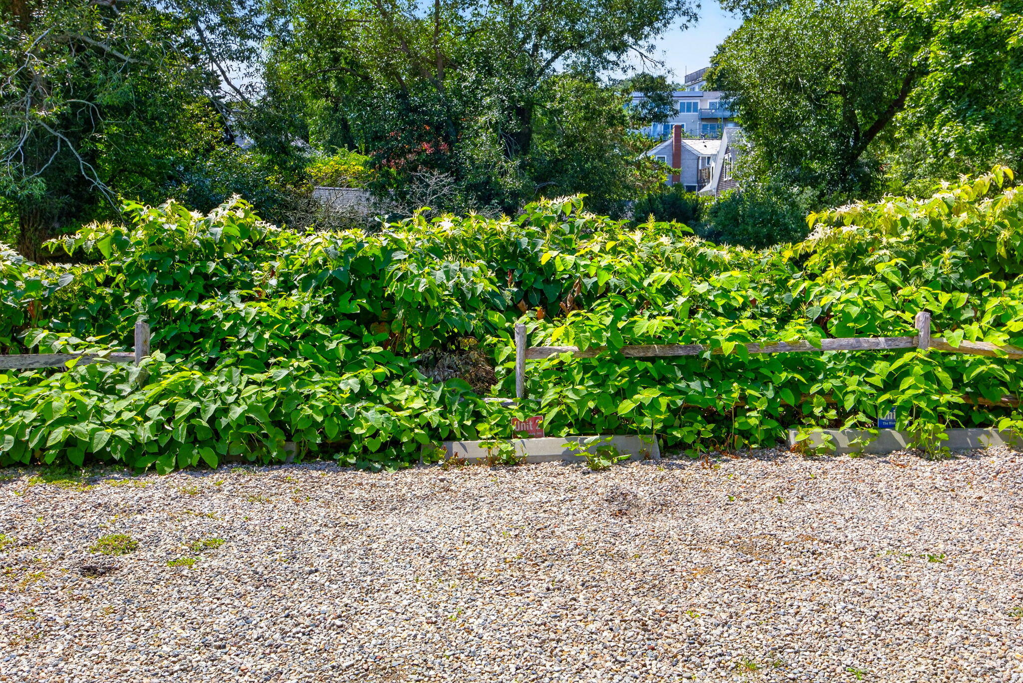  Designer Finishes, Private Yard & Deeded Parking - 物件實景