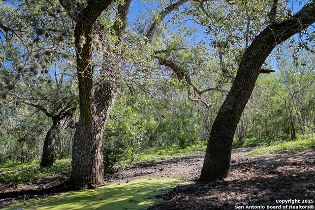 Beeville, Texas, 78102, United States, ,Land,For Sale,1942121
