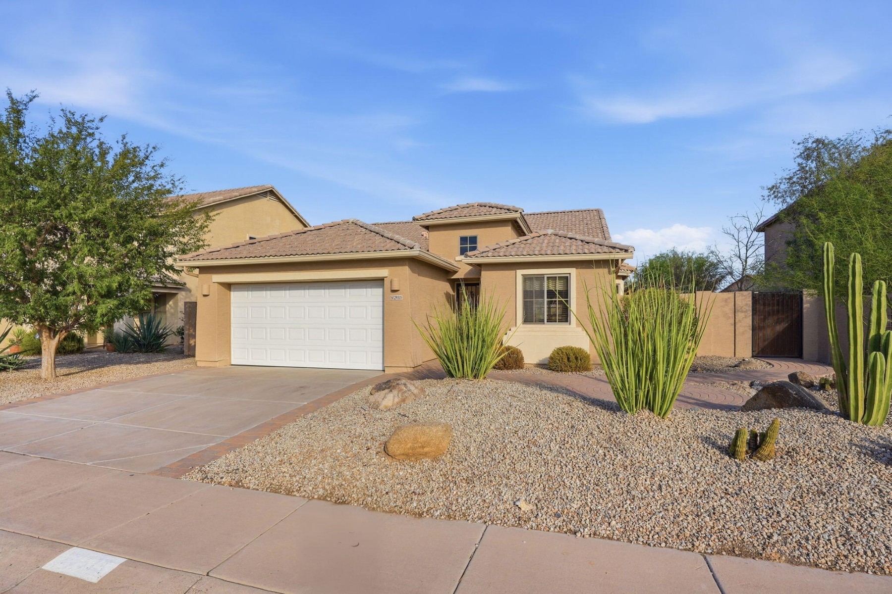  29515 N Little Leaf Dr ¦ San Tan Valley, AZ - 物件實景