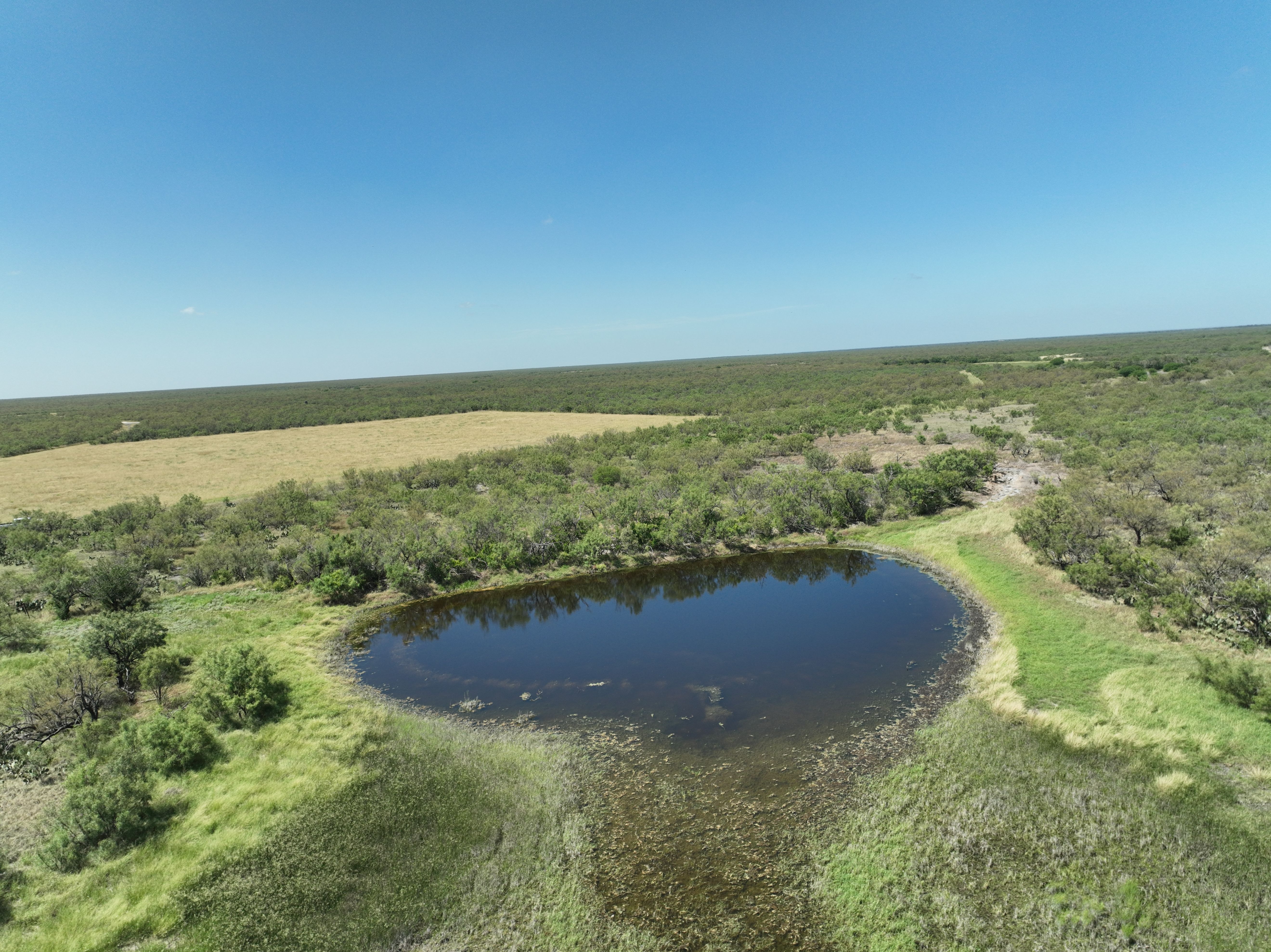  7, 902 +/- Las Moras Creek - 物件實景