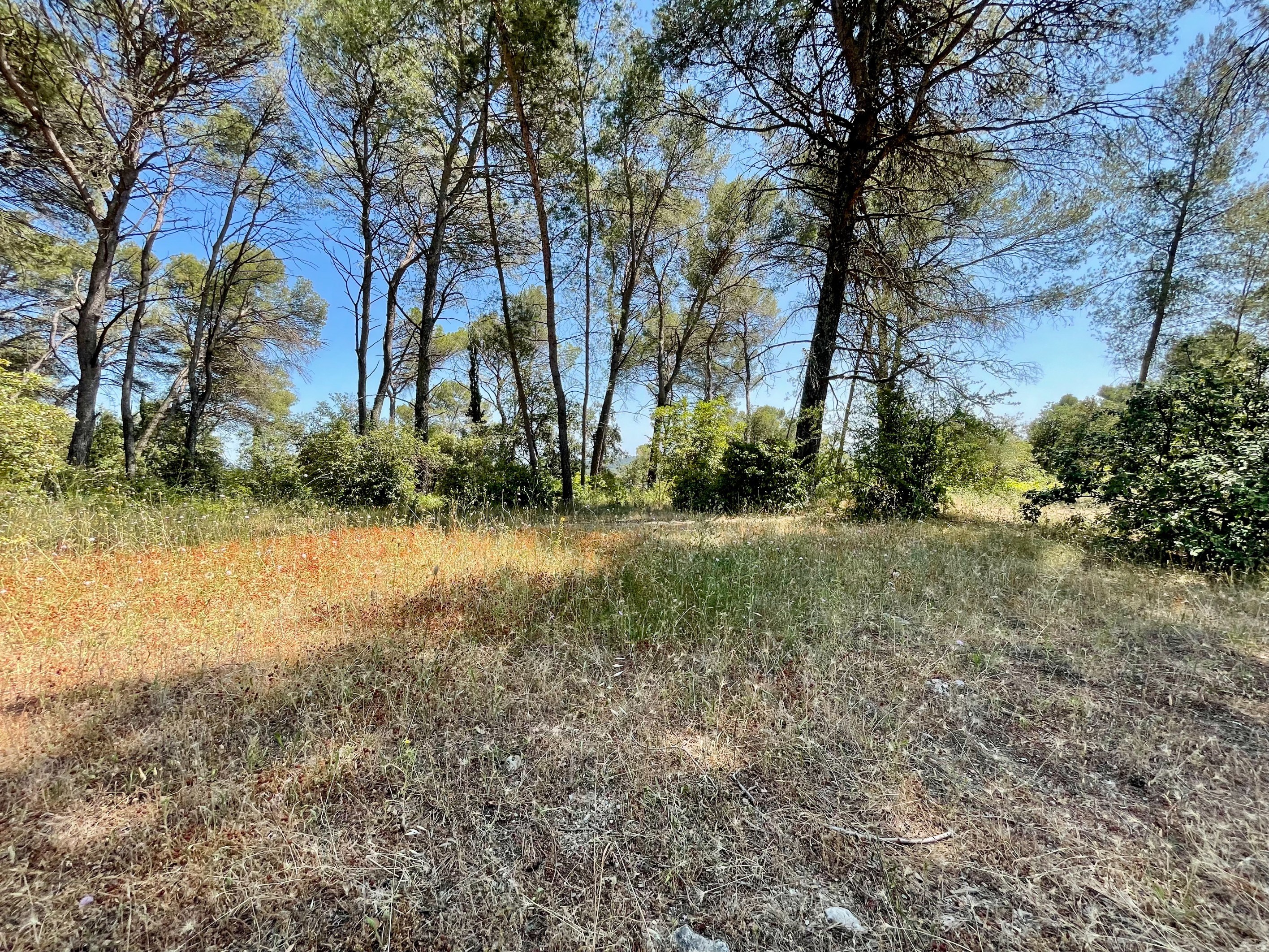  Exceptional property – Plan des Quatre Seigneurs, Montpellier - 物件實景