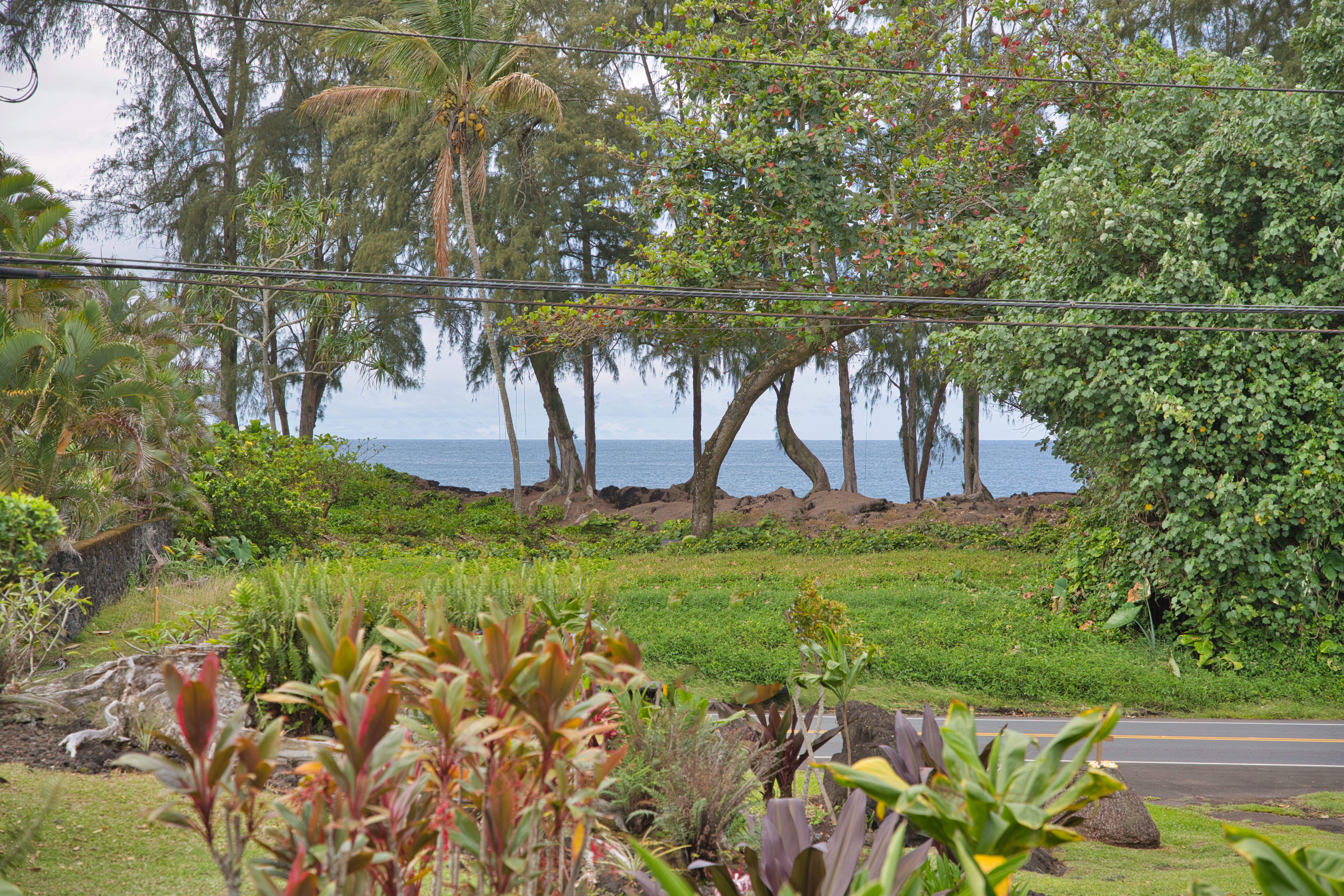  2070 Kalanianaole St, Hilo, HI, 96720 - 物件實景