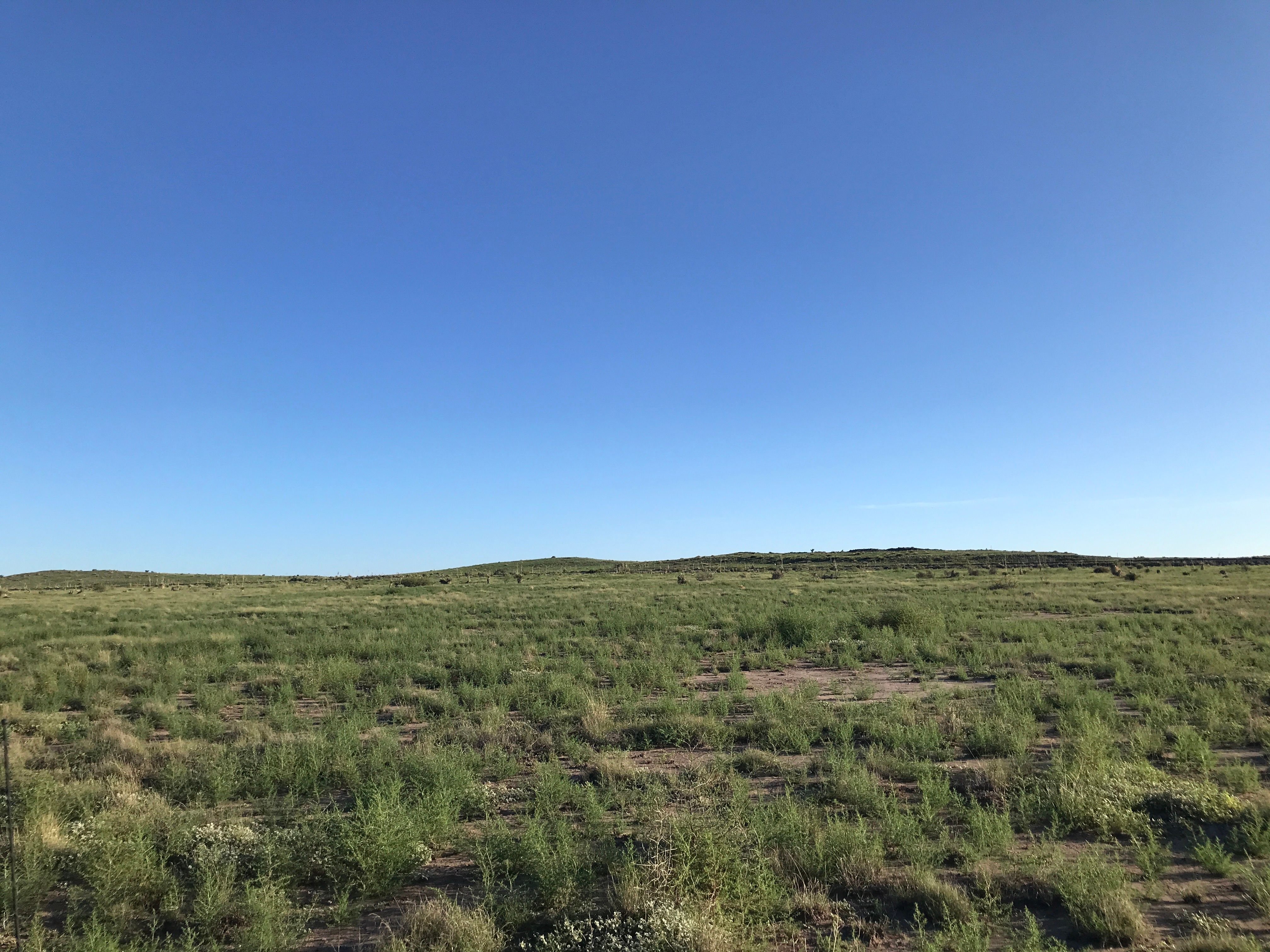  18311 Hwy 90, Marfa, TX 79843 - 物件實景