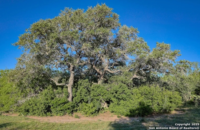 Beeville, Texas, 78102, United States, ,Land,For Sale,1988333