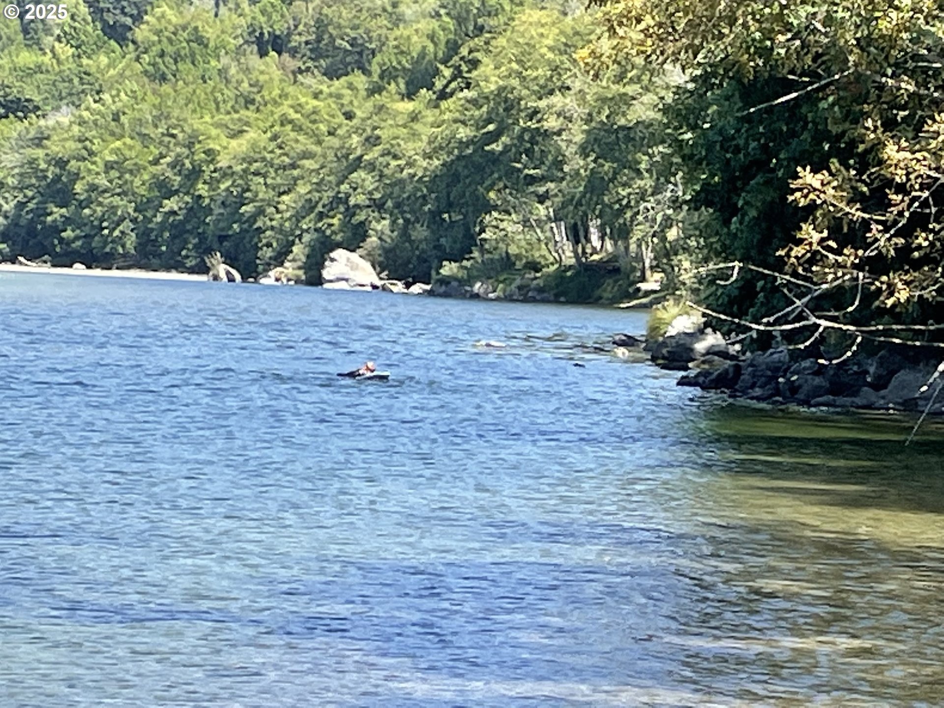 Brookings, Oregon, 97415, United States, 1 Bedroom Bedrooms, ,1 BathroomBathrooms,Residential,For Sale,1979383