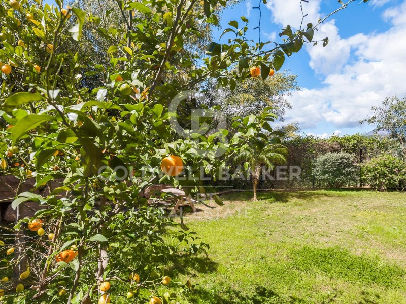 Benahavís, Andalusia, ES, 3 Bedrooms Bedrooms, ,2 BathroomsBathrooms,Residential,For Sale,1796939