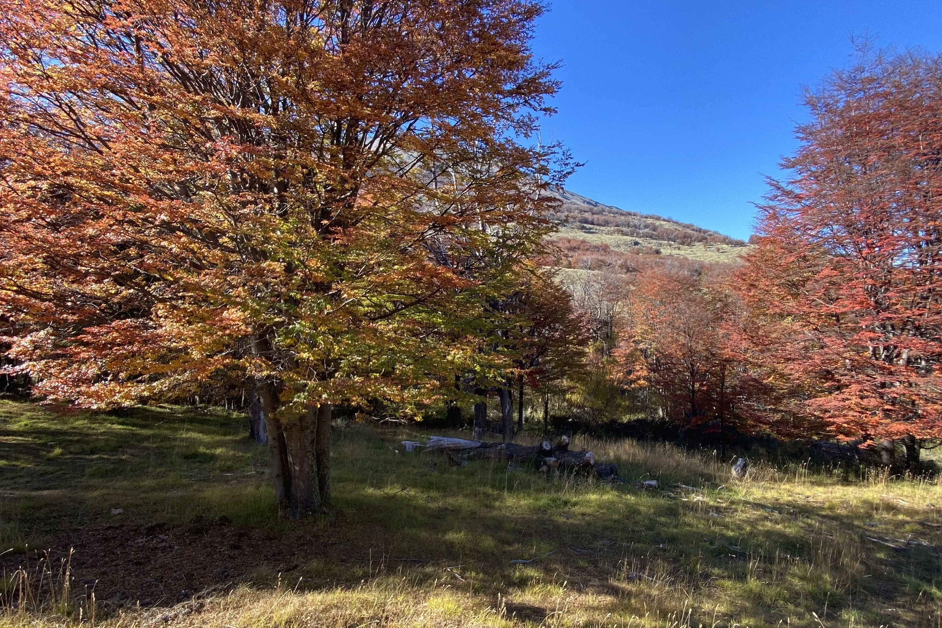 50-Hectare Property Adjacent to Cerro Castillo with 1.3 km of Waterfront - 物件實景