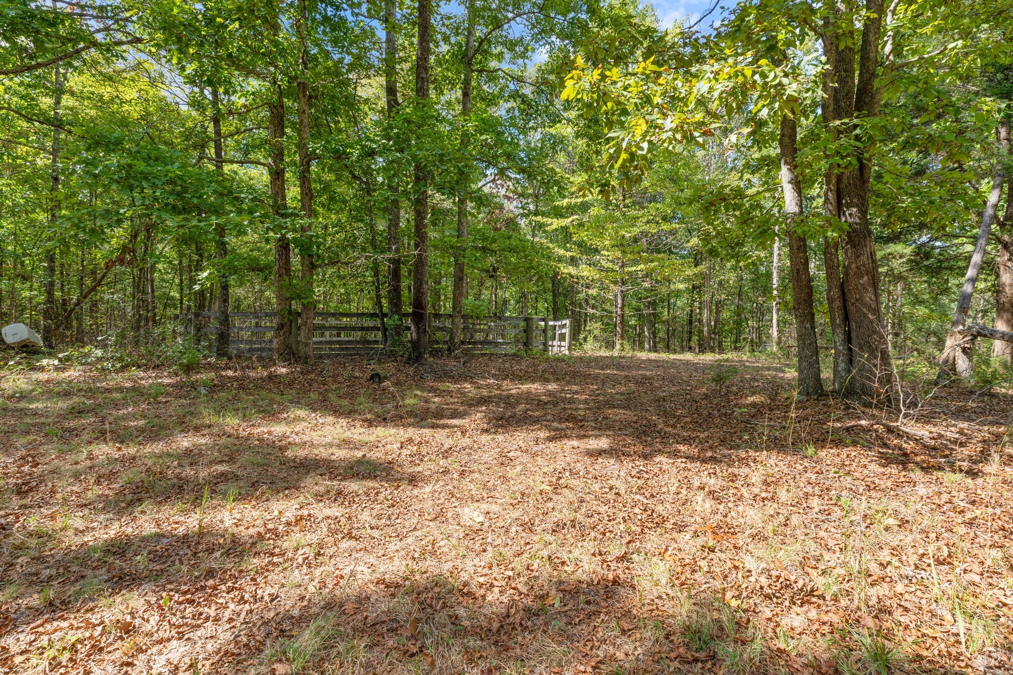 Mc Ewen, Tennessee, 37101, United States, ,Residential,For Sale,1923664