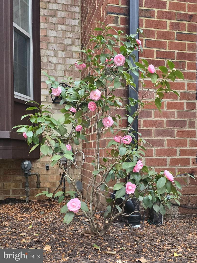 Crofton, Maryland, 21114, United States, 5 Bedrooms Bedrooms, ,4 BathroomsBathrooms,Residential,For Sale,1971690