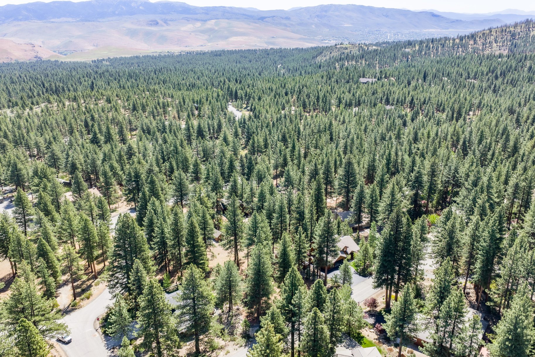  Private Galena Forest Parcel Near Mt. Rose with Pines & Tahoe Access - 物件實景