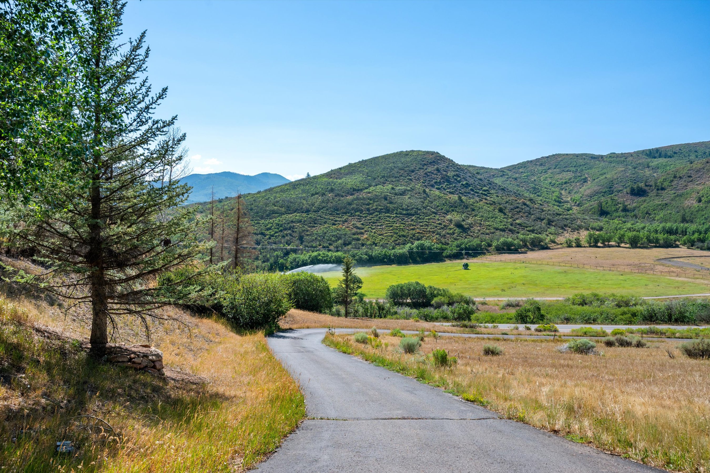  Two Private Acres in Brush Creek Village - 物件實景