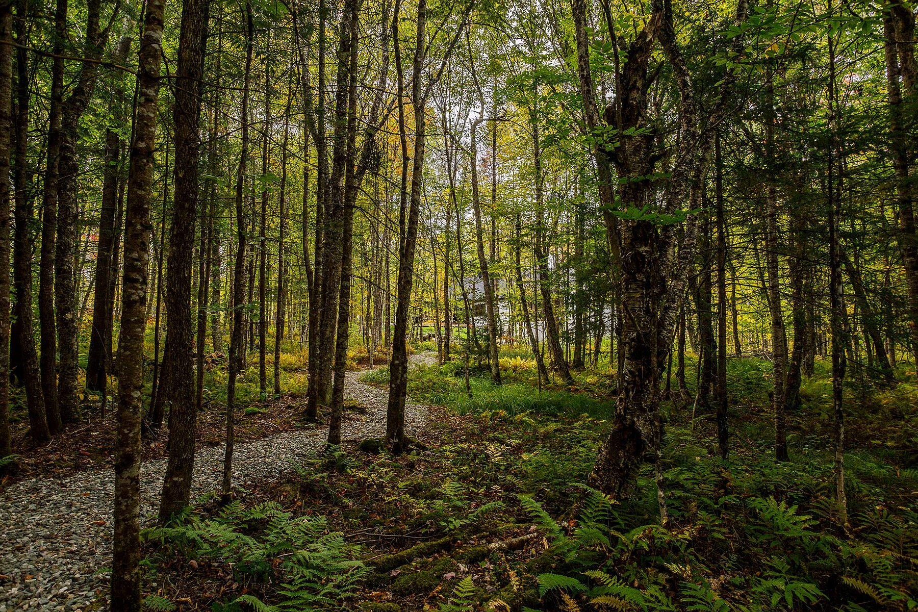  Eastman, Eastern Townships - 物件實景