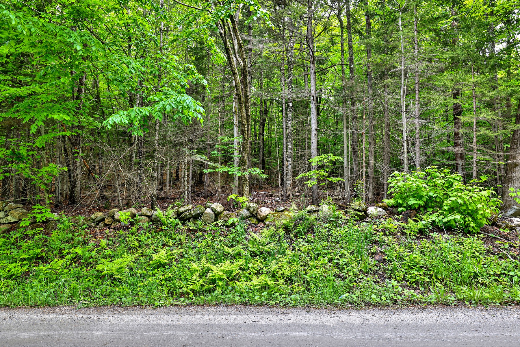 East Hill Road - 物件實景