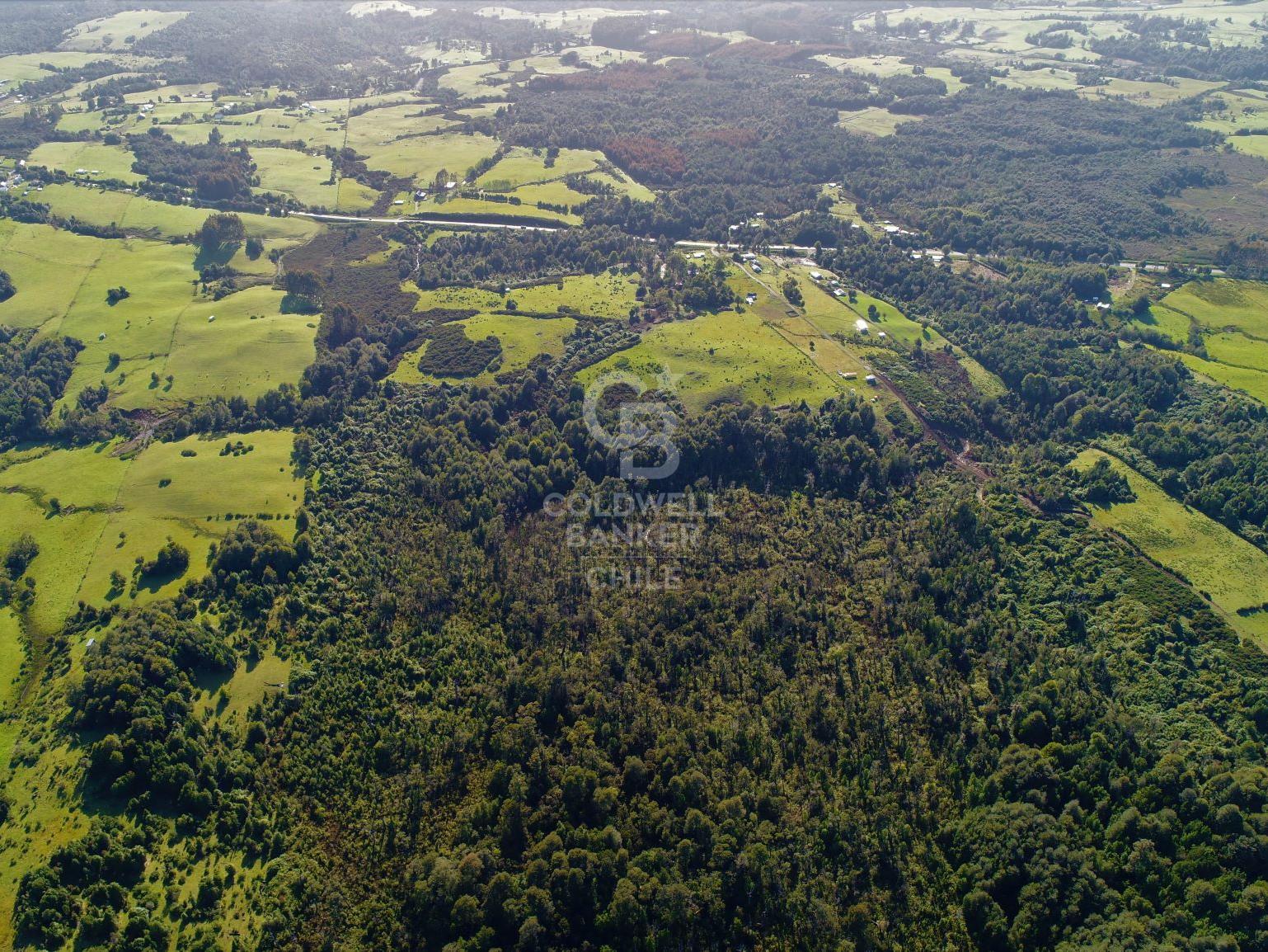 Ancud, Chile, ,Residential,For Sale,1759284
