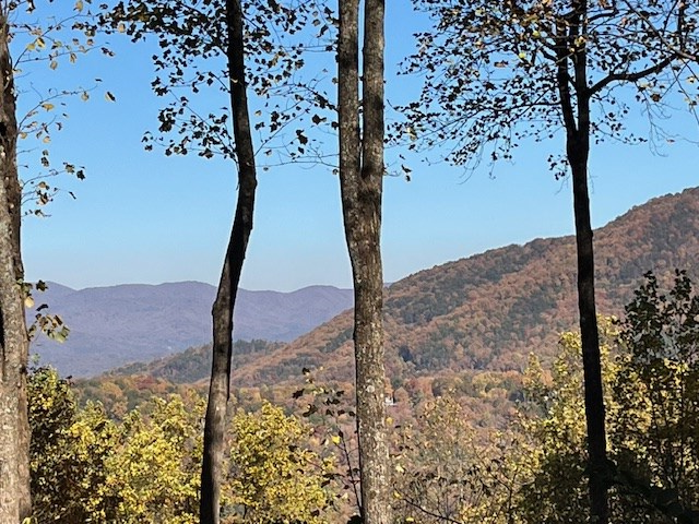 Ellijay, Georgia, 30536, United States, 4 Bedrooms Bedrooms, ,3 BathroomsBathrooms,Residential,For Sale,2003227