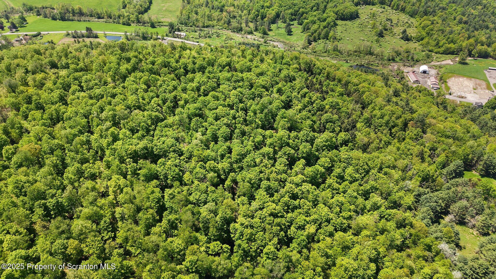 Friendsville, Pennsylvania, 18818, United States, ,Land,For Sale,1821142