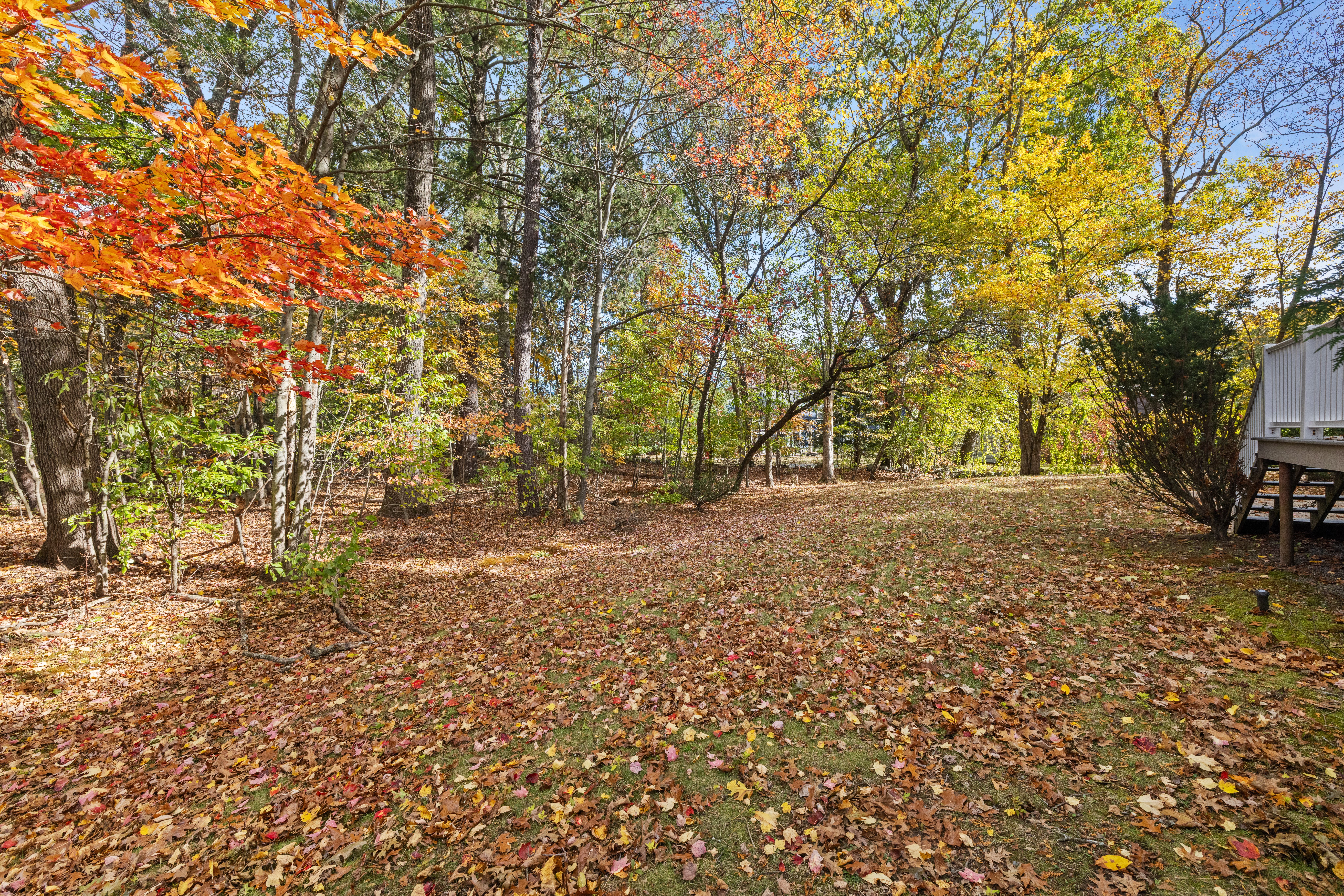  163 Standish Road, Needham, MA, 02492 - 物件實景