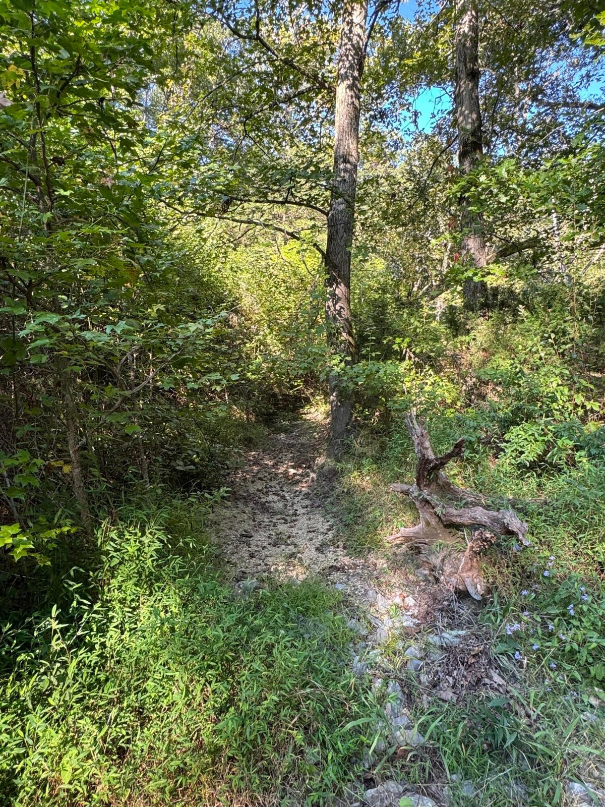 Dunlap, Tennessee, 37327, United States, 3 Bedrooms Bedrooms, ,1 BathroomBathrooms,Residential,For Sale,1980743